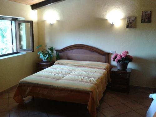 Agriturismo Le Cannucceta in Castel San Pietro Romano
