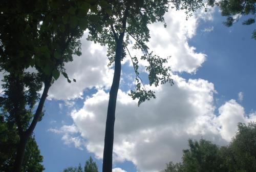 Rose Garden Studio in ฌีแวร์นี