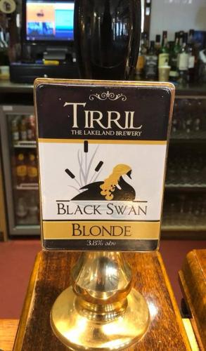 Black Swan - image 9