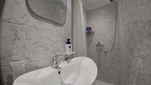 Studio Apartment image 10