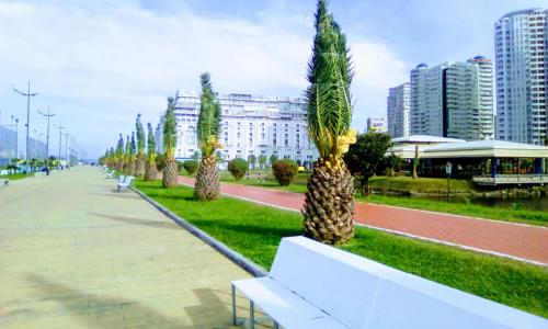 Batumi, Apartament Magnolia, Batumi (foto 10)