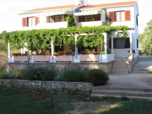  Maslinski Dvori in Silba