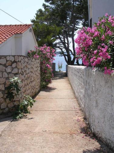  Maslinski Dvori in Silba