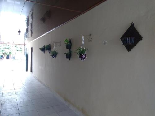 Viesnīcas āriene, Mapará Beach hotel-Baião-Pará (Mapara Beach hotel-Baiao-Para) in Baião