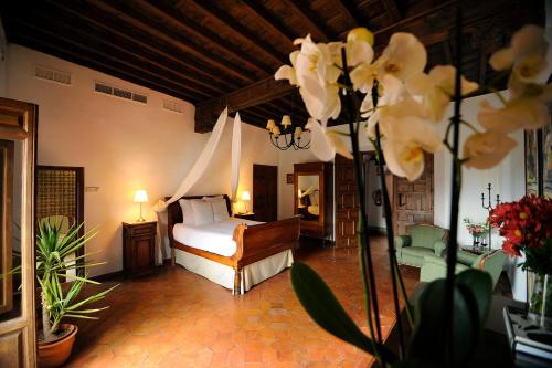 Mirador del Jazmín Mirador del Jazmín