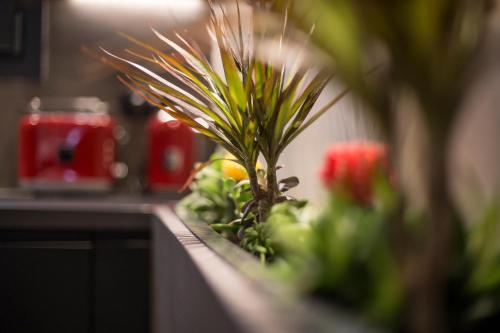 BRAND NEW 2018 LUXURY APARTMENT 10' MINUTES WALK FROM ACROPOLIS AND 6 FROM METRO, Athens (photo 7)