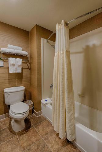 Best Western Plus Delta Inn & Suites