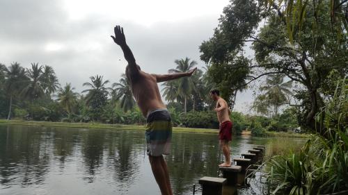 Priyanna Guest, Forest view