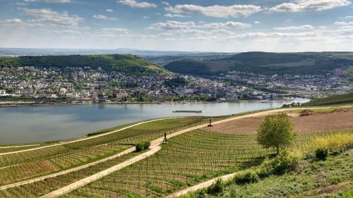 Ruhe pur am Golfplatz Stromberg