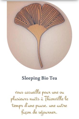 Sleeping Bio Tea