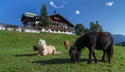 Seiterhof Schladming