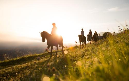  Seiterhof in Schladming