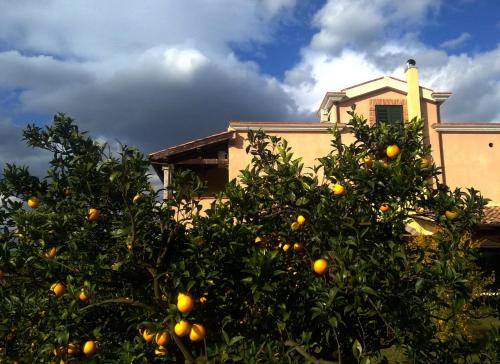 Su Canonigu Agriresort - Rooms & Glamping 3