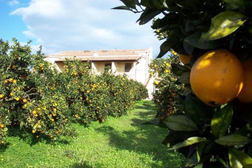 Su Canonigu Agriresort - Rooms & Glamping 4