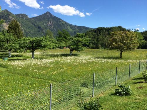 A környék, 5-Sterne Active Ferienwohnung Chiemgau in Marquartstein