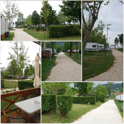 Badacsony Camping - image 2