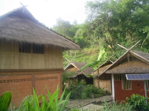 Hill Tribe Art House (Lahu & Akha Homestay)