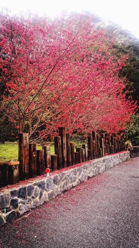 Taroko Formosa Homestay