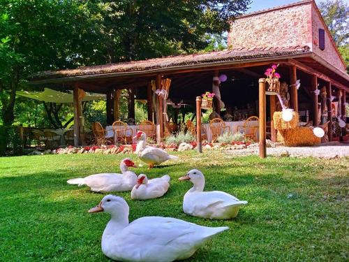 Agriturismo il Mulino delle Pile