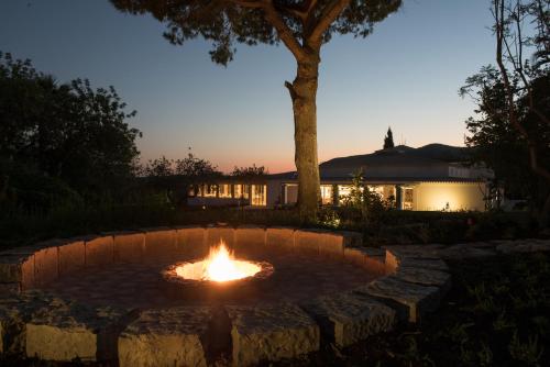 Vila Monte Farm House - image 12