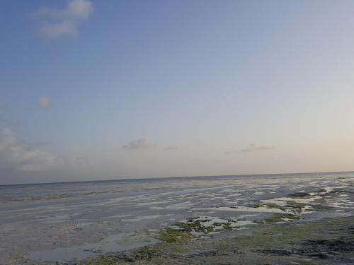 Jua Retreat