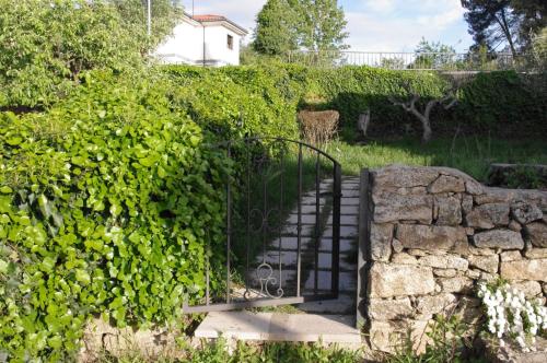 Cabañas Miraduero