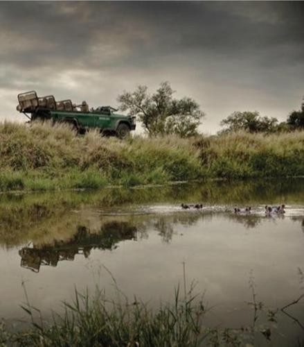 Leopard Hills Private Game Reserve