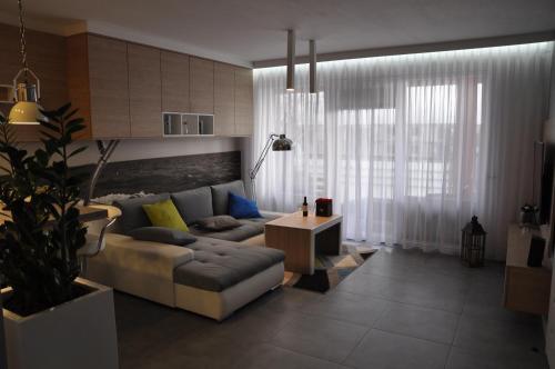 Apartament Svenita