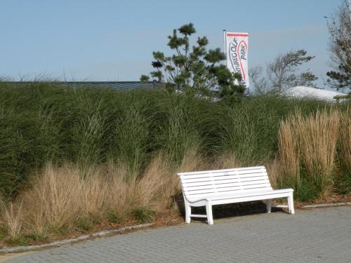 Altes Pastorenhus - image 2