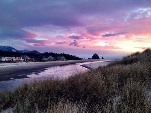 Webb's Scenic Surf