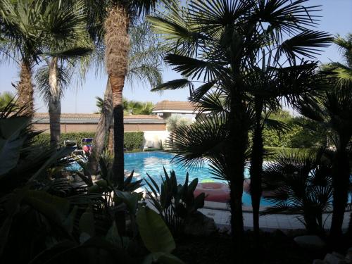 Hotel Novelli - image 4