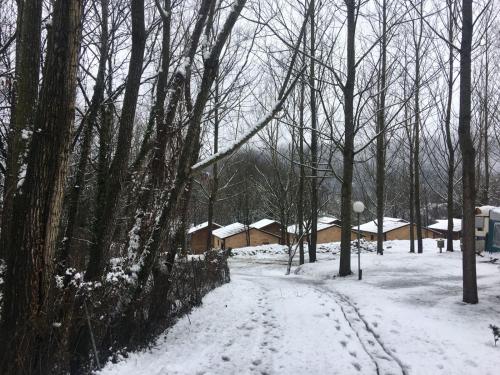 Camping Abadesses - image 7