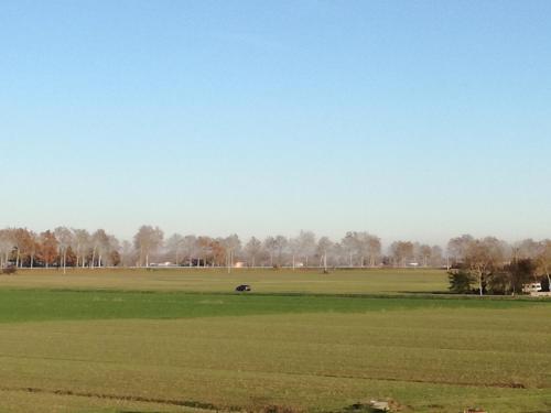 Le Mondine
