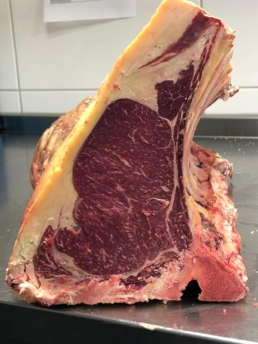 Slapen bij hofman - image 4