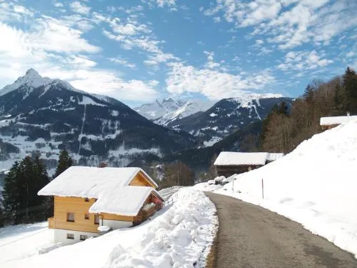 Haus grüner Wald in Bartholomäberg, Österreich