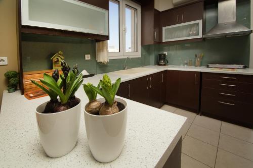 Home Suites 3