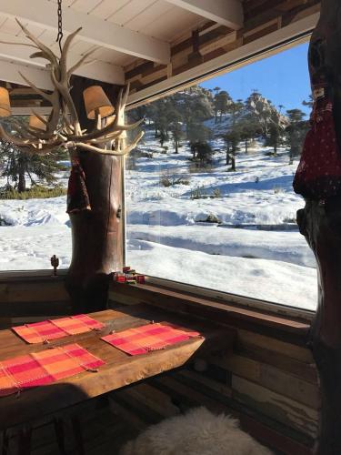 Lodge Tikilen Caviahue