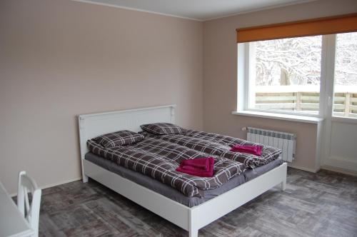 Kaunis Guesthouse, Tallin (foto 7)
