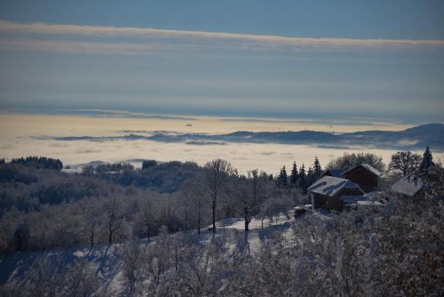 Guest House Lagotto's Peak