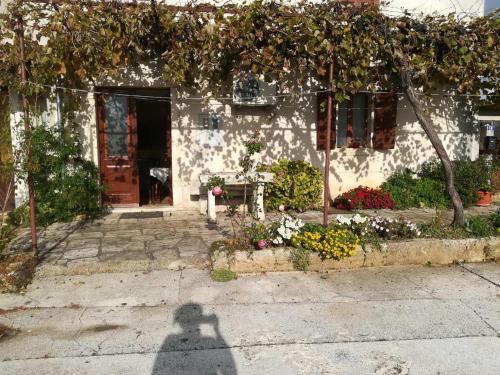  apartman Gracijela in Svetvinčenat