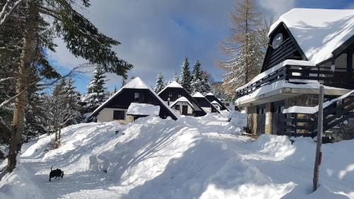 Rogla Chalet Mojca in Жреце