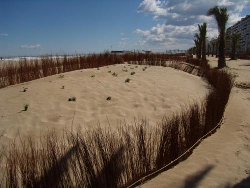 AG AGUAMARINA 3 - image 3