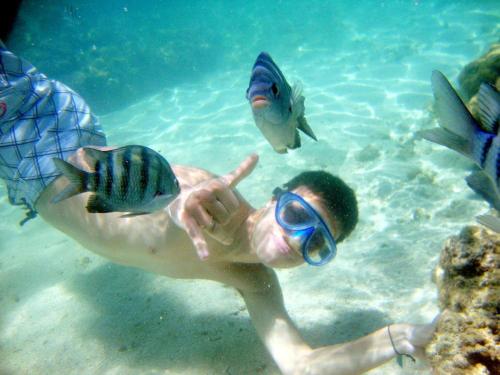 Beach Class Muro Alto select