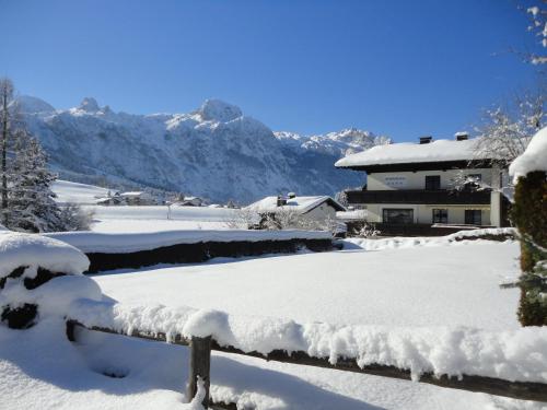 Ferienwohnung Ronacher, Pension in Abtenau