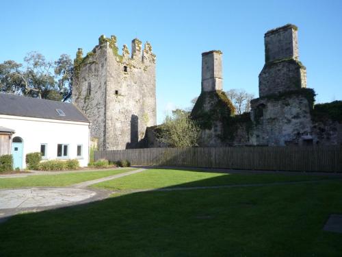 Castlemartyr Holiday Mews 3 bed - image 6