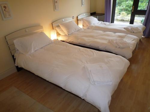 Grove Lodge Holiday Homes (2 Bed) - image 12