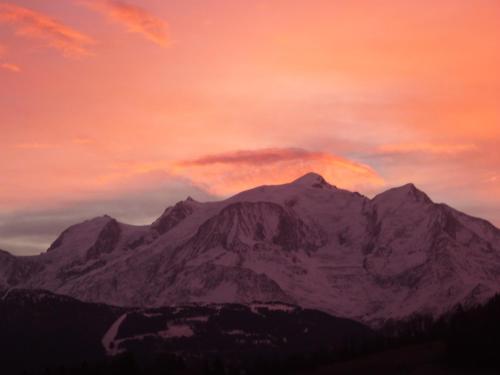 Le Chamois d'Or