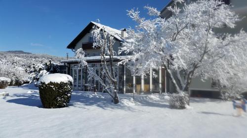 Hotel Villa Flora - image 14