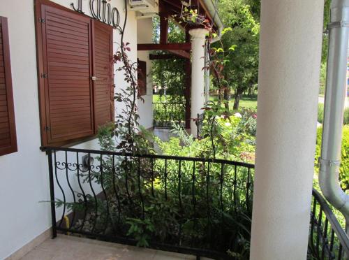 Villa Patio - image 10