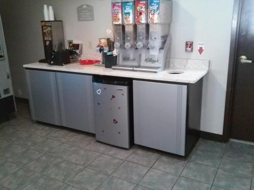 Microtel Inn and Suites Manistee - Hotel